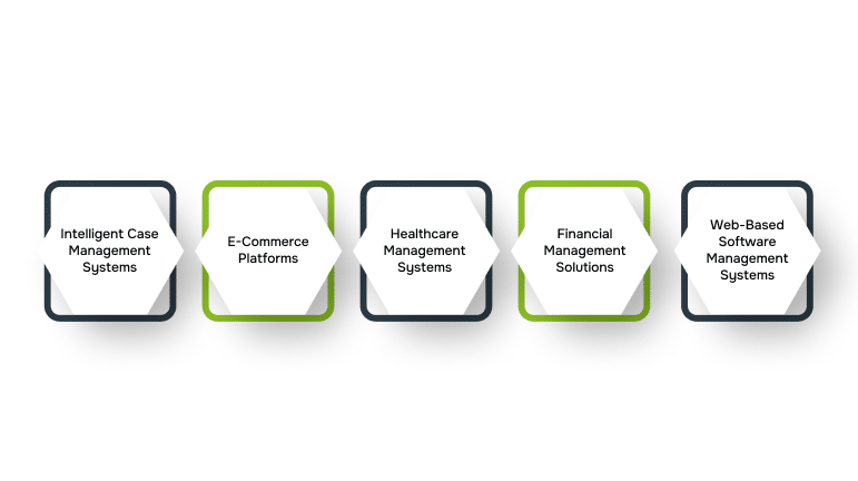 Real-World Examples of Bespoke Applications